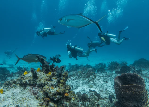 Equalization Techniques